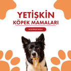 Yetişkin Köpek Mamaları